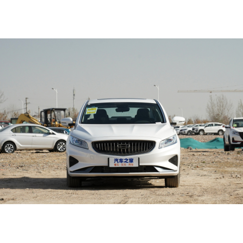 geely borui ev voiture electrique adulte carros veicoli per adulti adulti eec elettrico auto